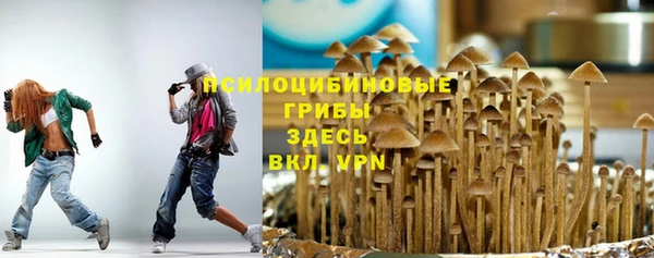 mix Арсеньев
