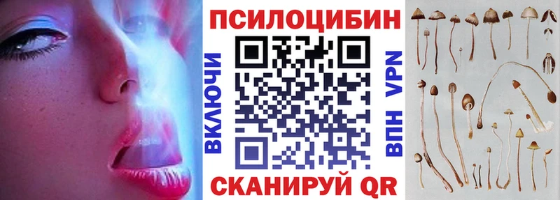 Галлюциногенные грибы MAGIC MUSHROOMS  Кодинск 